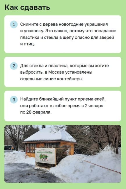 До 28 февраля в Москве проходит акция «Елочный круговорот».  В рамках этой акции по всему городу начали..