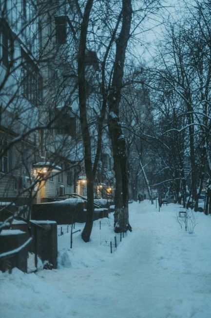 😢 Тоска по снегу в объективе Артёма..