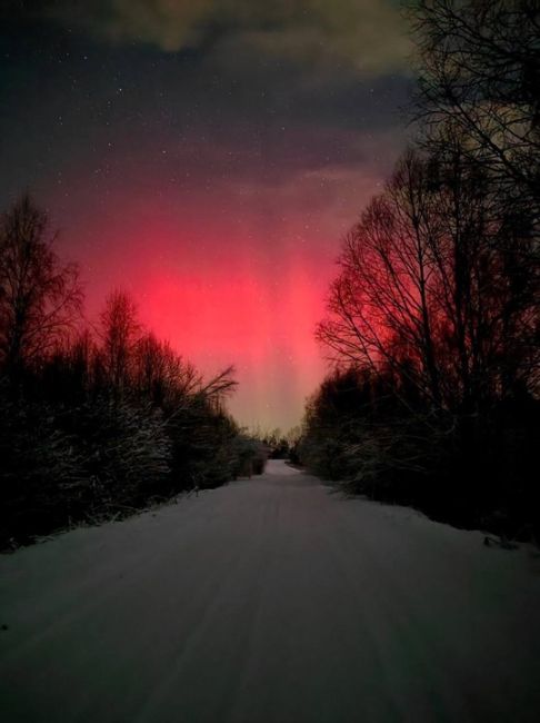 🗣️ Жители Сергача наблюдали «Северное сияние» в Новогоднюю ночь  Кто тоже..