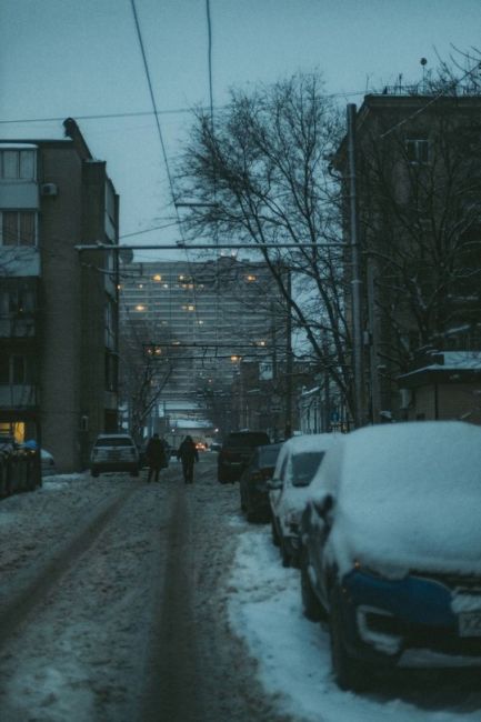 😢 Тоска по снегу в объективе Артёма..