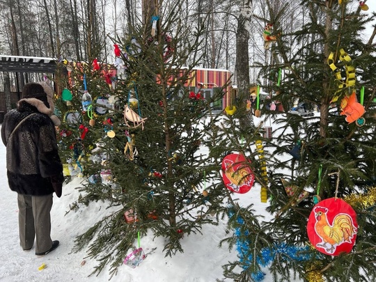 💙 Вот такие красивые новогодние елочки появились в Сормовском парке  Фото: Алина..