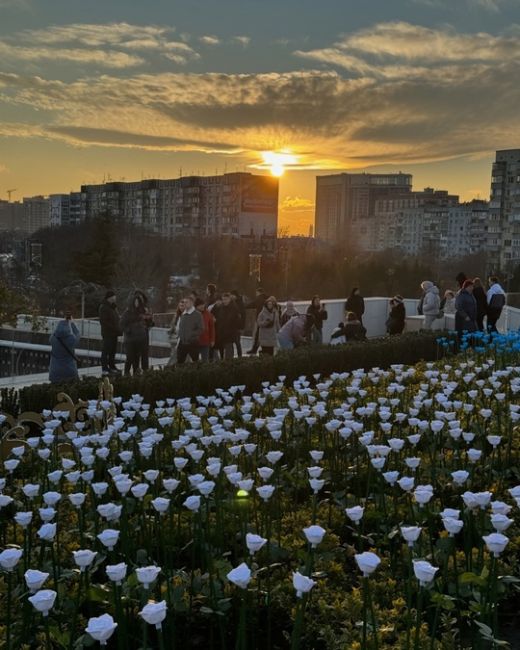 Красочная атмосфера в прекрасном парке
или … когда фильтры только
помешают красоте момента!
🤗🎄🌹
Фото:..