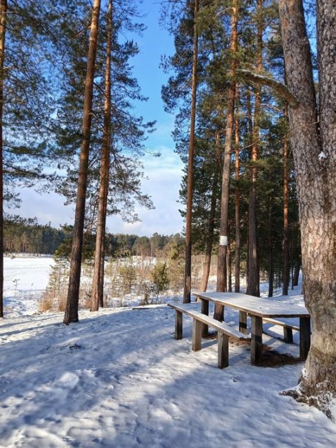 Озеро Родионово, Сосновский район.💙
 фото: Александр..