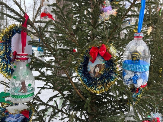 💙 Вот такие красивые новогодние елочки появились в Сормовском парке  Фото: Алина..