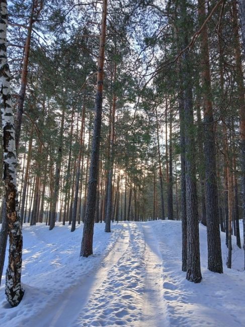 Озеро Родионово, Сосновский район.💙
 фото: Александр..