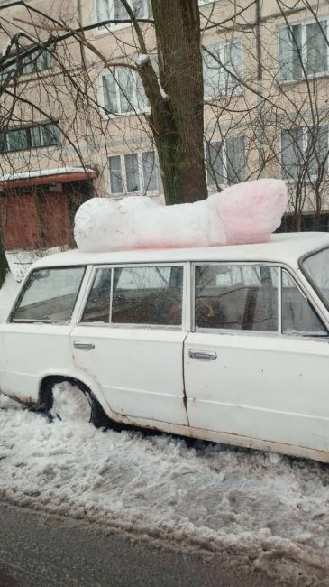 На автохламе в одном из петербургских дворов слепили арт-объект, напоминающий половой орган. Стоит отметить..