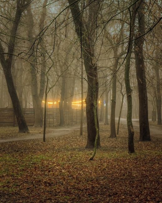 Парк Островского в тумане.  Фото: Алексей..