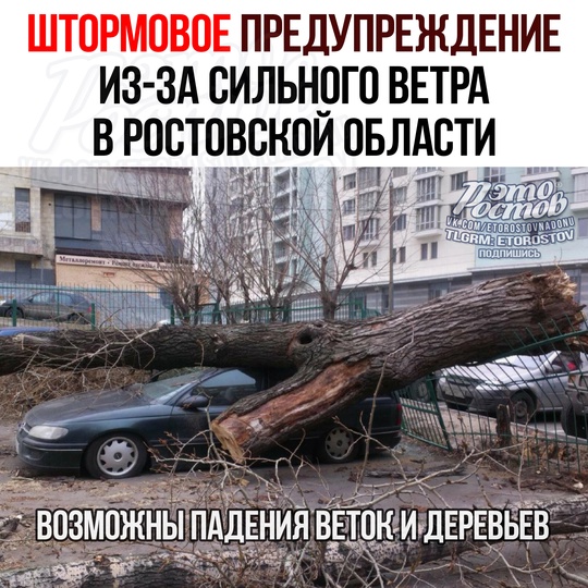 ⚠ СИЛЬНЫЙ ВЕТЕР будет дуть в Ростовской области ещё сутки. Объявлено штормовое предупреждение 
Порывы..