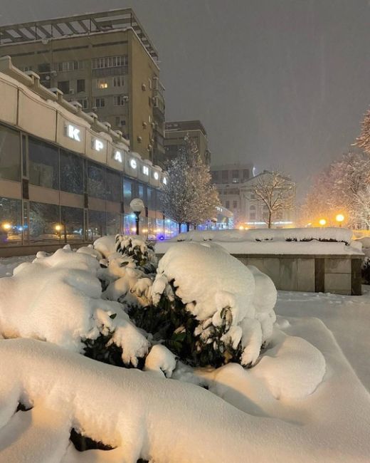 Помните, в каком году в Краснодаре был такой снежный январь?
Фото:..