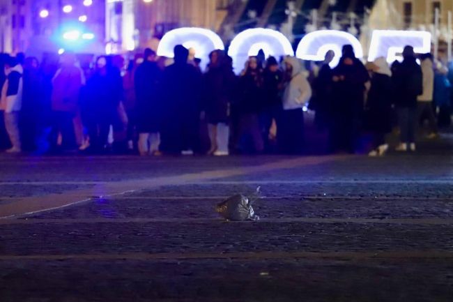 В новогоднюю ночь на Дворцовой вызывали полицию из-за бесхозного пакета  Находка обнаружилась за полчаса до..