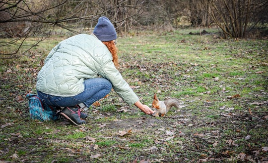 Очаровательные пушистики в ботаническом саду КубГАУ  Фото: Евгений..