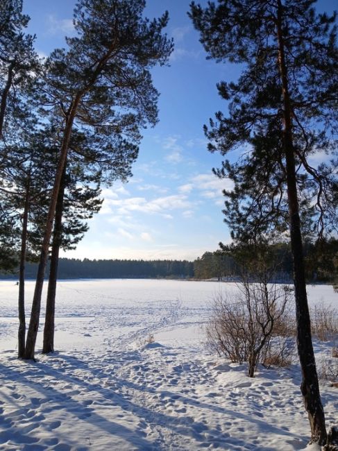 Озеро Родионово, Сосновский район.💙
 фото: Александр..