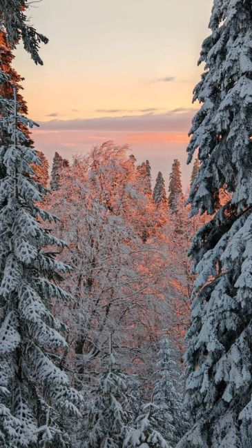 Зимний закат на Красной Поляне 😍  📷..