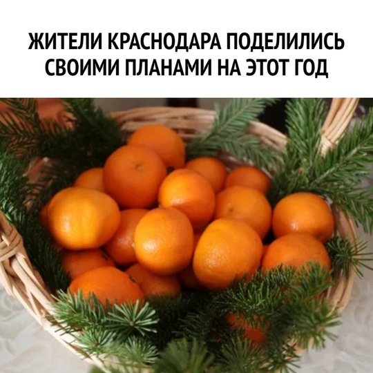 🎄Жители Краснодара поделились своими планами на этот год  30% намерены больше времени уделять хобби и..