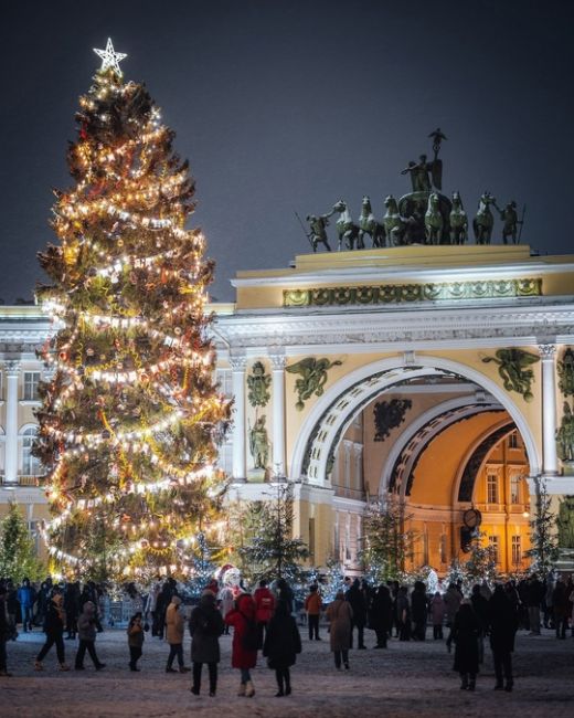 🎄Новогодняя елка из Петербурга признана самой красивой в России. Она победила в конкурсе, набрав 56%..