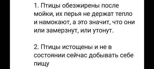 #ПостДобра Жительница Башкирии спасает птиц на Чёрном море 
Многодетная мама и художница Ольга Алиева из..