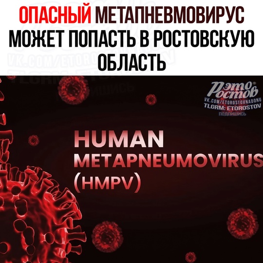 🦠 Новый метапневмовирус представляет угрозу для жителей Ростовской области. Особенно он опасен для детей,..