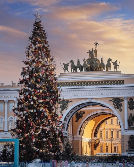 🎄Новогодняя елка из Петербурга признана самой красивой в России. Она победила в конкурсе, набрав 56%..