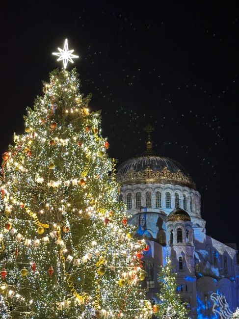 🎄Новогодняя атмосфера у Морского собора в Кронштадте 
Захватывающее мультимедийное шоу можно посмотреть..