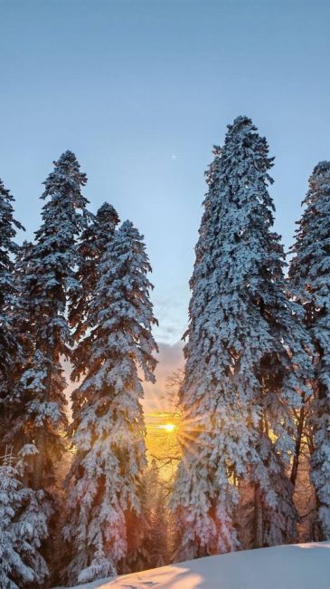 Зимний закат на Красной Поляне 😍  📷..