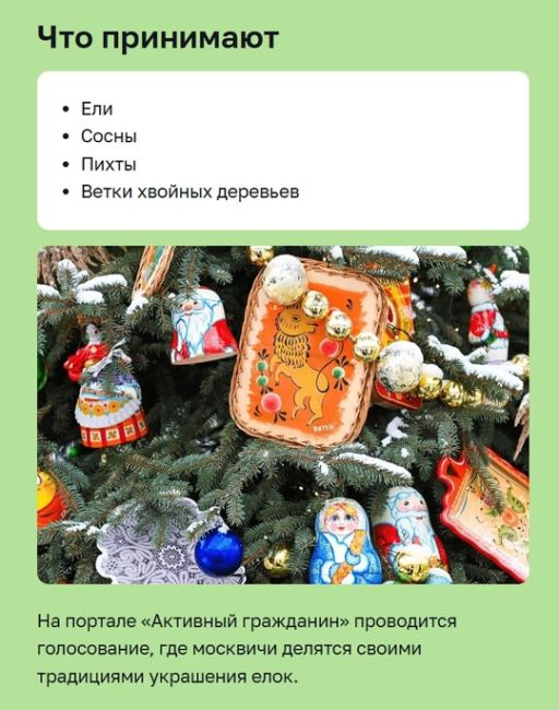 До 28 февраля в Москве проходит акция «Елочный круговорот».  В рамках этой акции по всему городу начали..