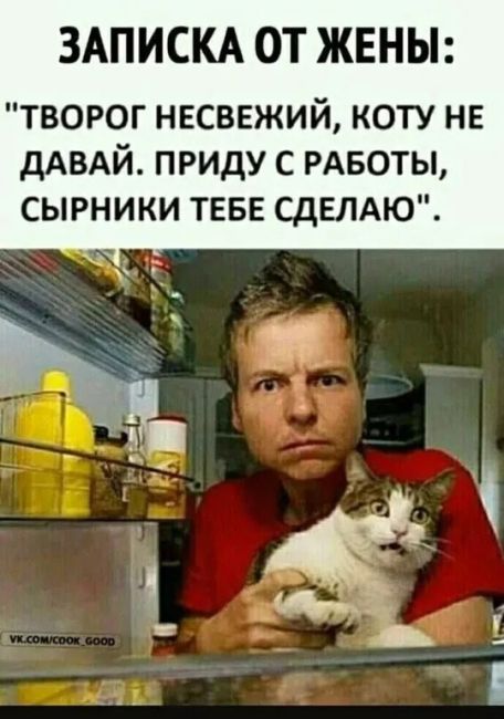 Сегодня, 5 января, отмечается Международный разгрузочный день..