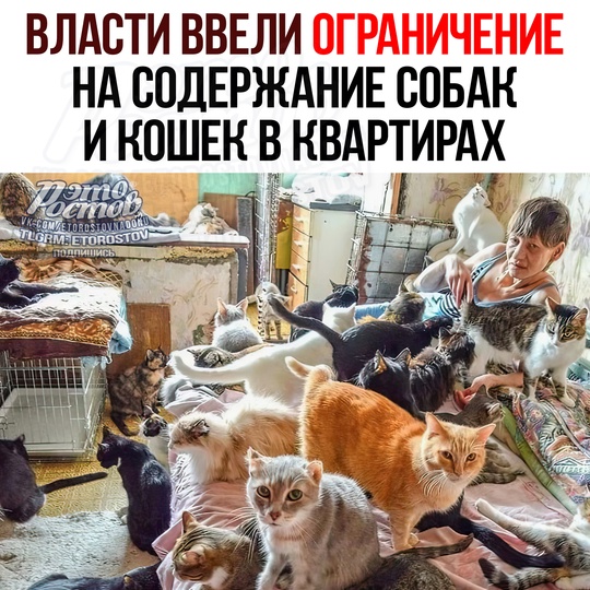 🐕 Ограничения на содержание собак и кошек в квартирах ввели власти Башкортостана  ⚫ В квартирах и домах на..