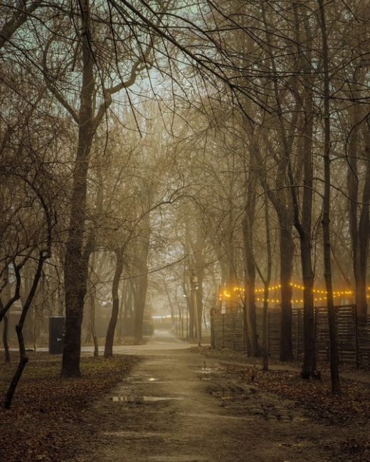 Парк Островского в тумане.  Фото: Алексей..