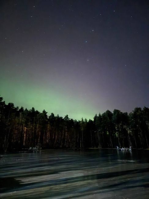 Красота в Ленобласти ☺️  И Новый год и северное сияние подарила нам минувшая ночь..