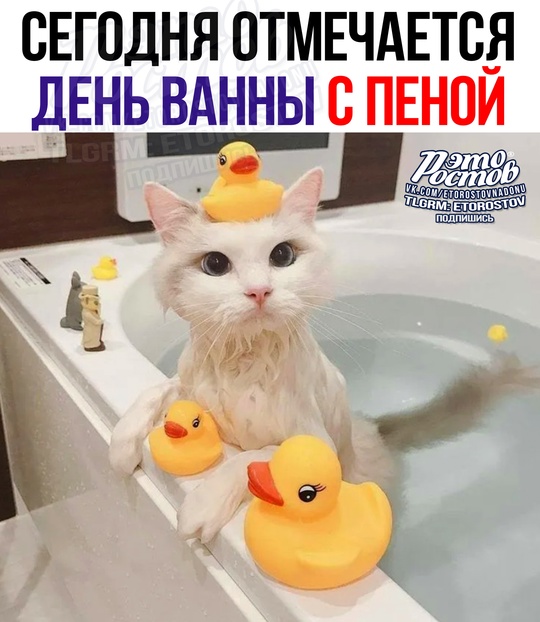 🥰Вы знаете, чем заняться сегодня вечером..