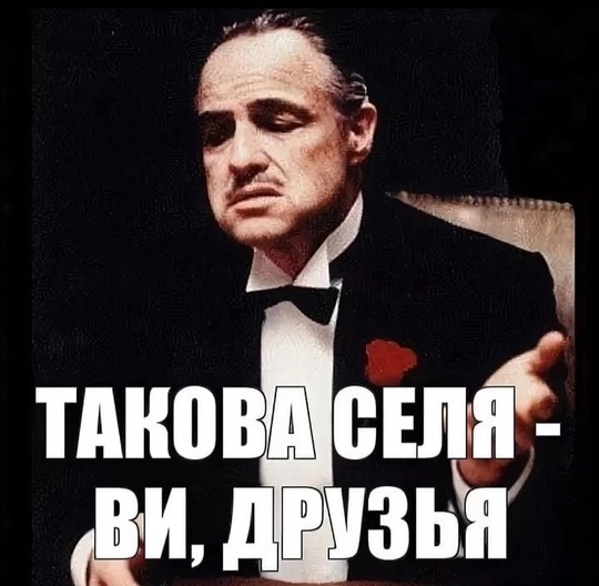 😷 Подписчица призвала ростовчан носить маски: «Очень хочется достучаться до людей , которые болеют и ездят..