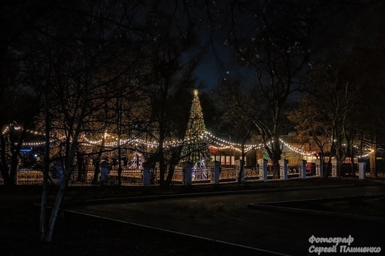 Новогодний Таганрог 💫🎄  Фото: Сергей..