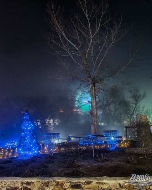 🌫 Парк Лога в мистическом..