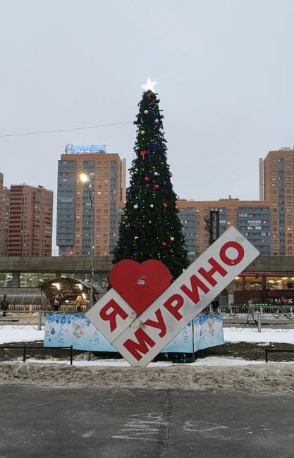 С петербуржцев возьмут налог за поездки в Ленобласть  Областная администрация объявила о введении..