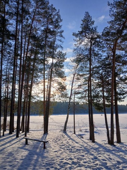 Озеро Родионово, Сосновский район.💙
 фото: Александр..