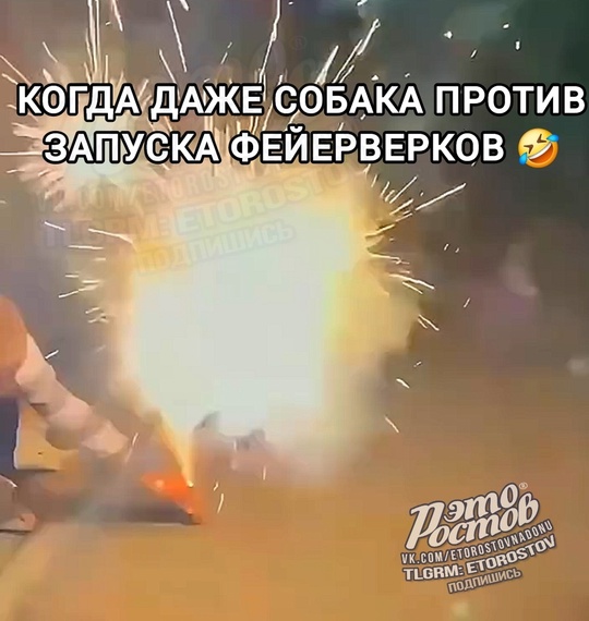 Бесстрашный собакен против фейерверков 😧  ⚠ВНИМАНИЕ! [https://vk.com/video/@etorostovnadonu|Видео могут смотреть] только..