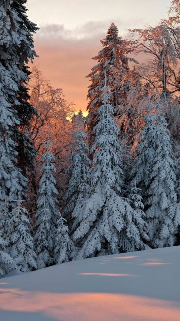 Зимний закат на Красной Поляне 😍  📷..