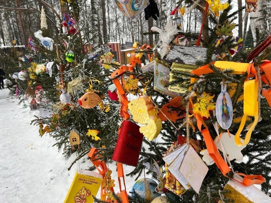 💙 Вот такие красивые новогодние елочки появились в Сормовском парке  Фото: Алина..