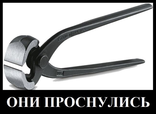 ⚠«Будьте внимательны. Из-за аномального потепления проснулись клещи. Встретил их в Сальском и..