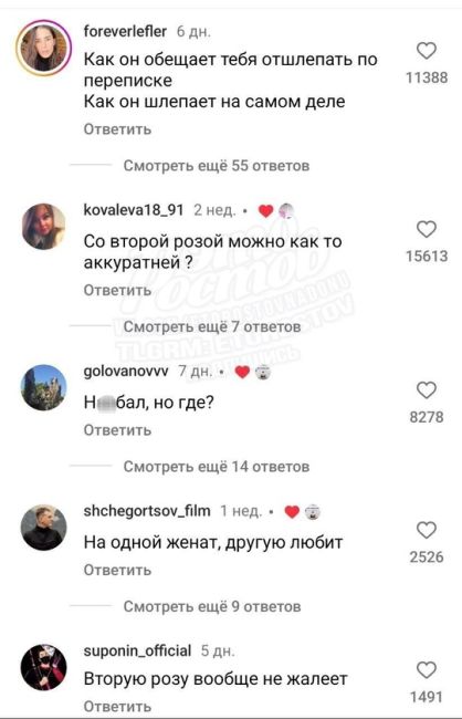 🌹 Цветочный маг провёл «честное» сравнение своих роз с конкурентами. В комментариях начался..