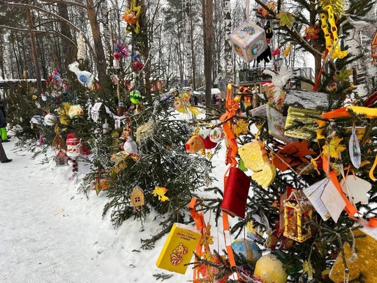 💙 Вот такие красивые новогодние елочки появились в Сормовском парке  Фото: Алина..